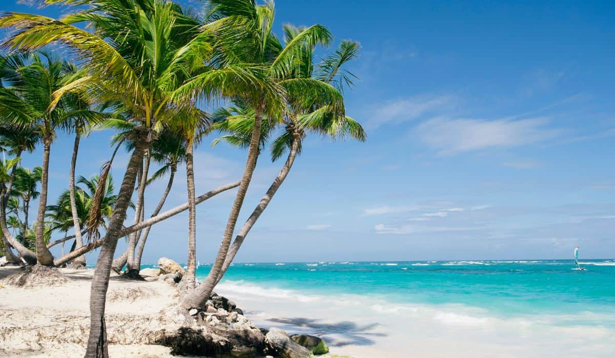 Punta Cana in January Weather, Things to Do, Where to Go in 2024